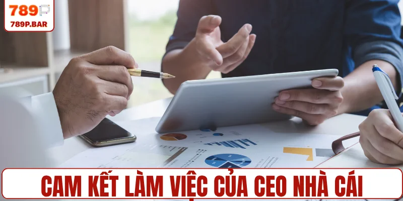 Cam kết làm việc của CEO nhà cái