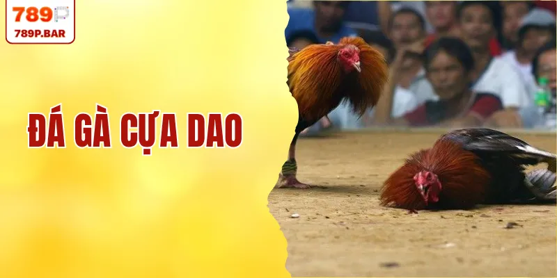 Đá Gà Cựa Dao - Cách Đọc Kèo Và 2 Thủ Thuật Cá Cược