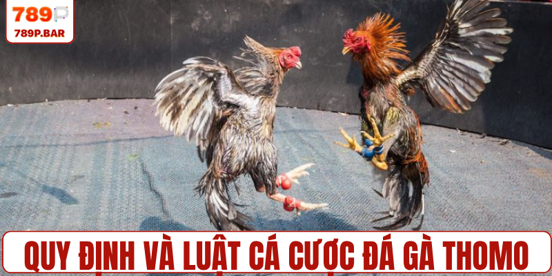Quy định và luật cá cược đá gà Thomo